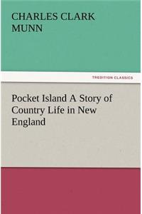 Pocket Island a Story of Country Life in New England