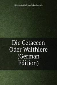 Die Cetaceen Oder Walthiere (German Edition)