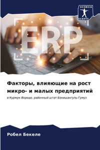 Факторы, влияющие на рост микро- и малых пре&#