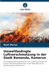 Umweltbedingte Luftverschmutzung in der Stadt Bamenda, Kamerun