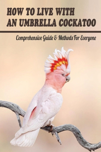 How To Live With An Umbrella Cockatoo