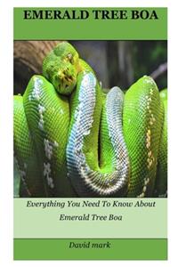 Emerald Tree Boa