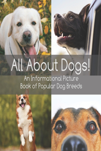 All About Dogs!