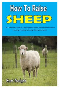 How to Raise Sheep