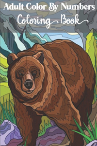 Adults Color by number coloring book