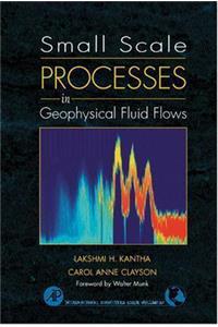 Small Scale Processes in Geophysical Fluid Flows