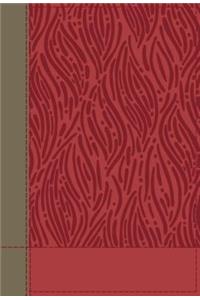 NKJV, Faithlife Illustrated Study Bible, Imitation Leather, Pink, Indexed, Red Letter Edition: Biblical Insights You Can See