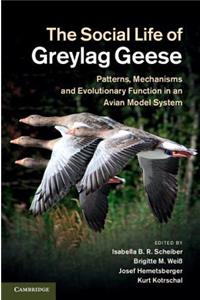 Social Life of Greylag Geese