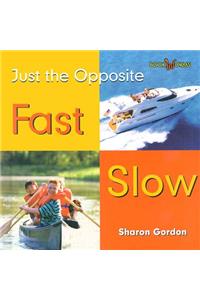 Fast Slow