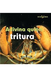 Adivina Quién Tritura (Guess Who Snaps)