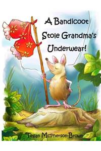 Bandicoot Stole Grandma's Underwear!