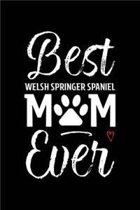 Best Welsh Springer Spaniel Mom Ever