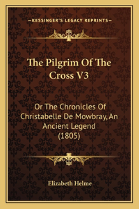 The Pilgrim Of The Cross V3