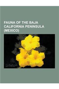 Fauna of the Baja California Peninsula (Mexico): Birds of Baja Peninsula Mexico, Ring-Tailed Cat, Yellow Warbler, California Condor, Pinyon Jay, Rufou