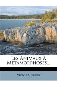 Les Animaux À Métamorphoses...