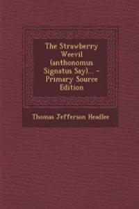 The Strawberry Weevil (Anthonomus Signatus Say)...