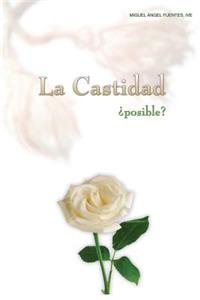 Castidad ¿Posible?