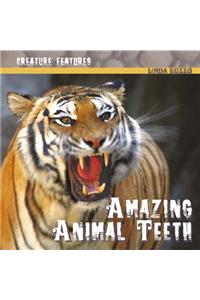 Amazing Animal Teeth