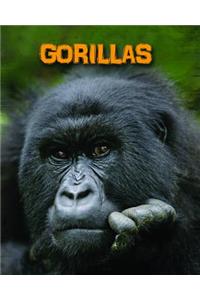Living in the Wild Primates Gorillas