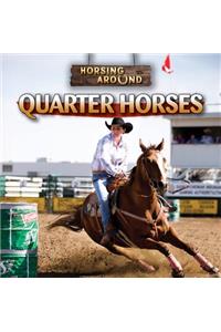 Quarter Horses