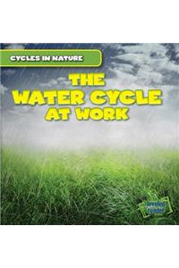 The Water Cycle at Work