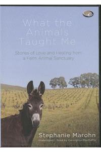 What the Animals Taught Me