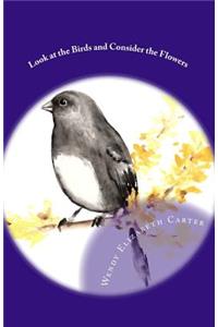 Look at the Birds and Consider the Flowers
