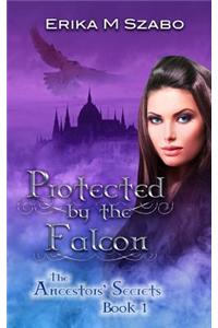 Protected by the Falcon
