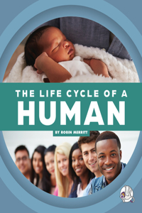 Life Cycle of a Human