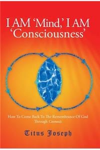 I Am 'Mind' I Am 'Consciousness'