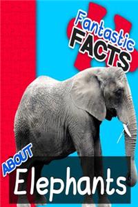 Fantastic Facts about Elephants: Illustrated Fun Learning for Kids