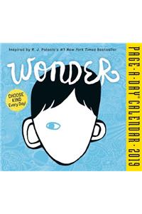 Wonder Page-A-Day Calendar 2019