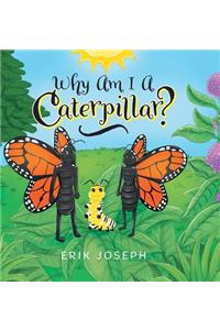 Why Am I A Caterpillar?