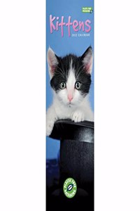 2023 Kittens Slim Calendar Plastic Free