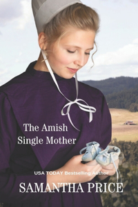 The Amish Single Mother