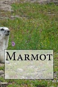 Marmot