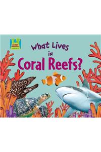 What Lives in Coral Reefs?