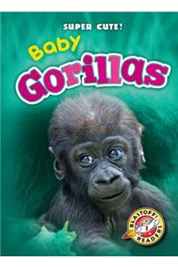 Baby Gorillas