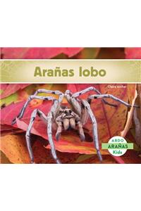 ArañAs Lobo