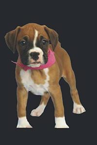 My Dog Notebook