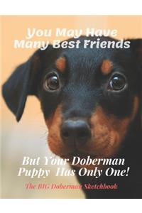 You May Have Many Best Friends But Your Doberman Puppy Has Only One! - Doberman Sketchbook