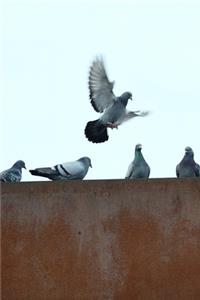 Birds of a Feather Journal