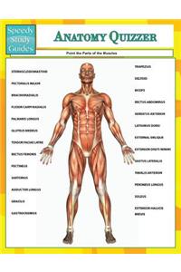 Anatomy Quizzer (Speedy Study Guides)