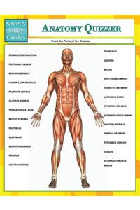 Anatomy Quizzer (Speedy Study Guides)