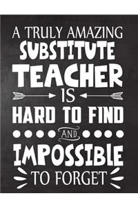 A Truly Amazing Substitute Teacher is Hard to Find and Impossible To Forget