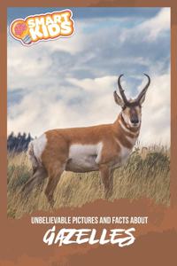 Unbelievable Pictures and Facts About Gazelles