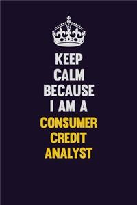 Keep Calm Because I Am A Consumer Credit Analyst