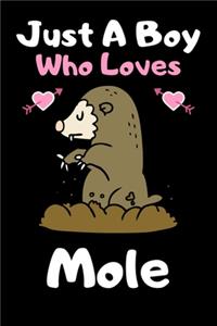 Just a boy who loves mole