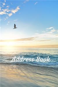 Address Book
