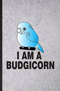 I Am a Budgicorn